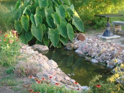 Messina Hof Winery And Resort (Adults Only) Брайън Екстериор снимка